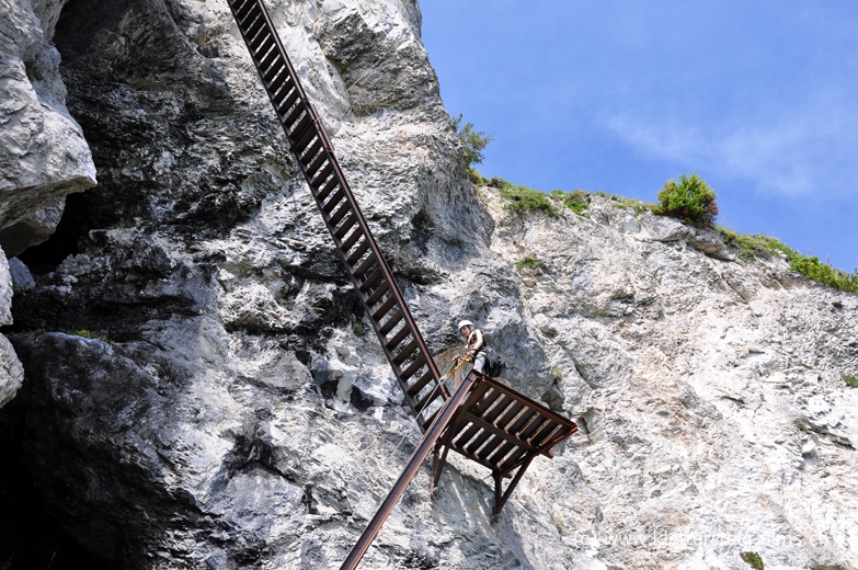 Erster Leiternabschnitt der 3-ten Felsstufe des Flimser Klettersteiges